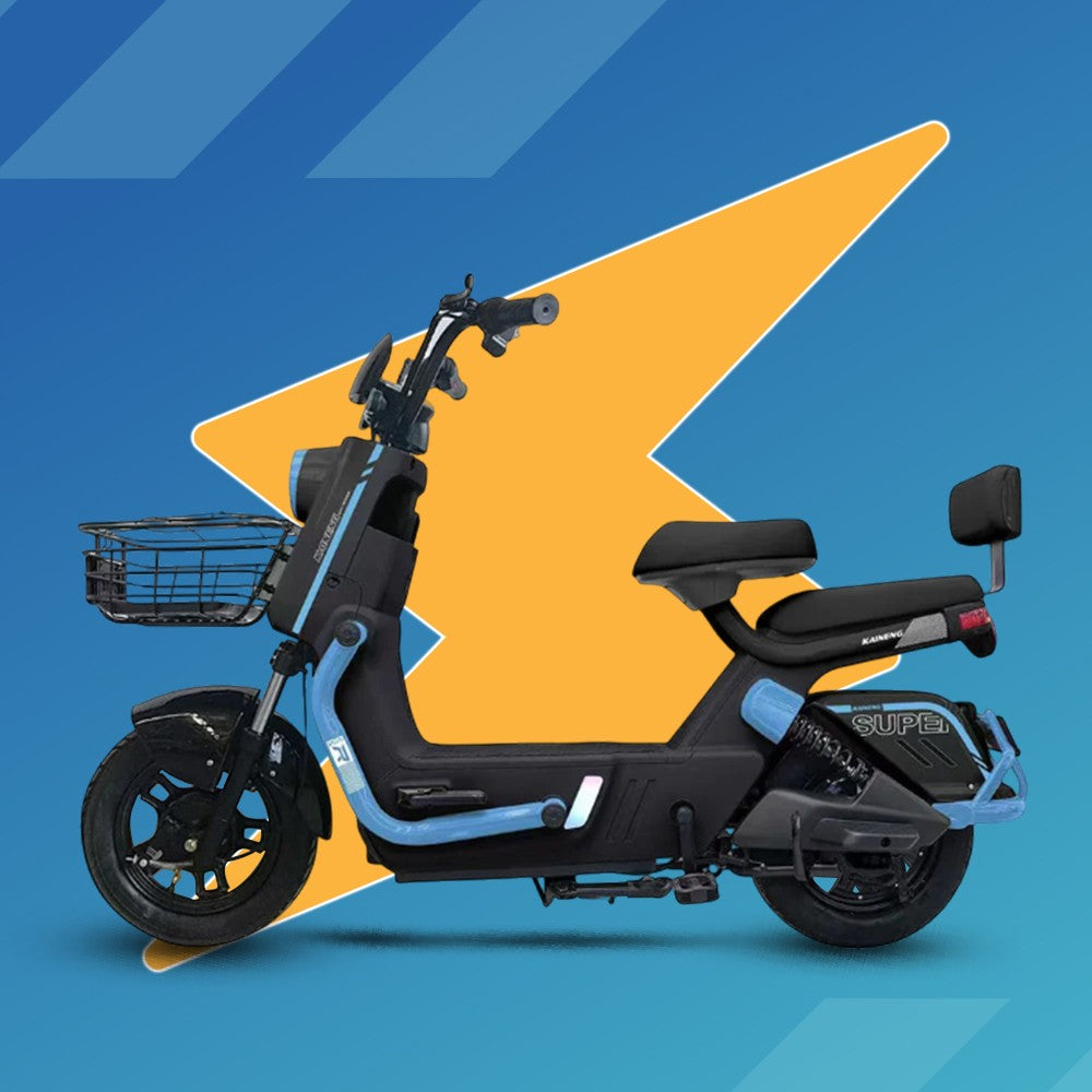 Scooty Pigeon