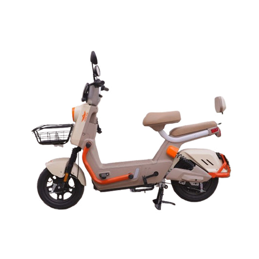 Scooty Pigeon