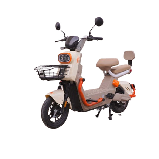 Scooty Pigeon